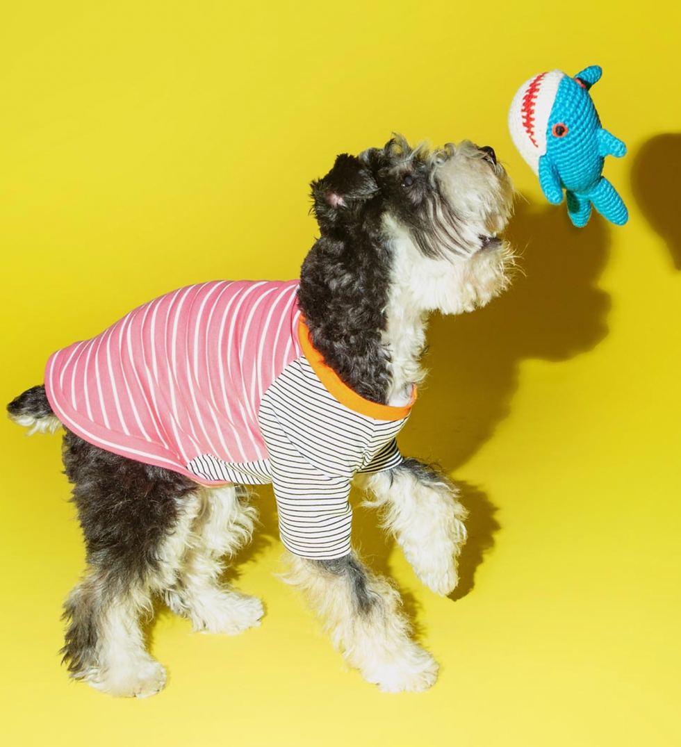Miniaturbild: Die weiche Häkelstruktur macht Shark Buddy zum perfekten Begleiter für ausgelassenes Spielen