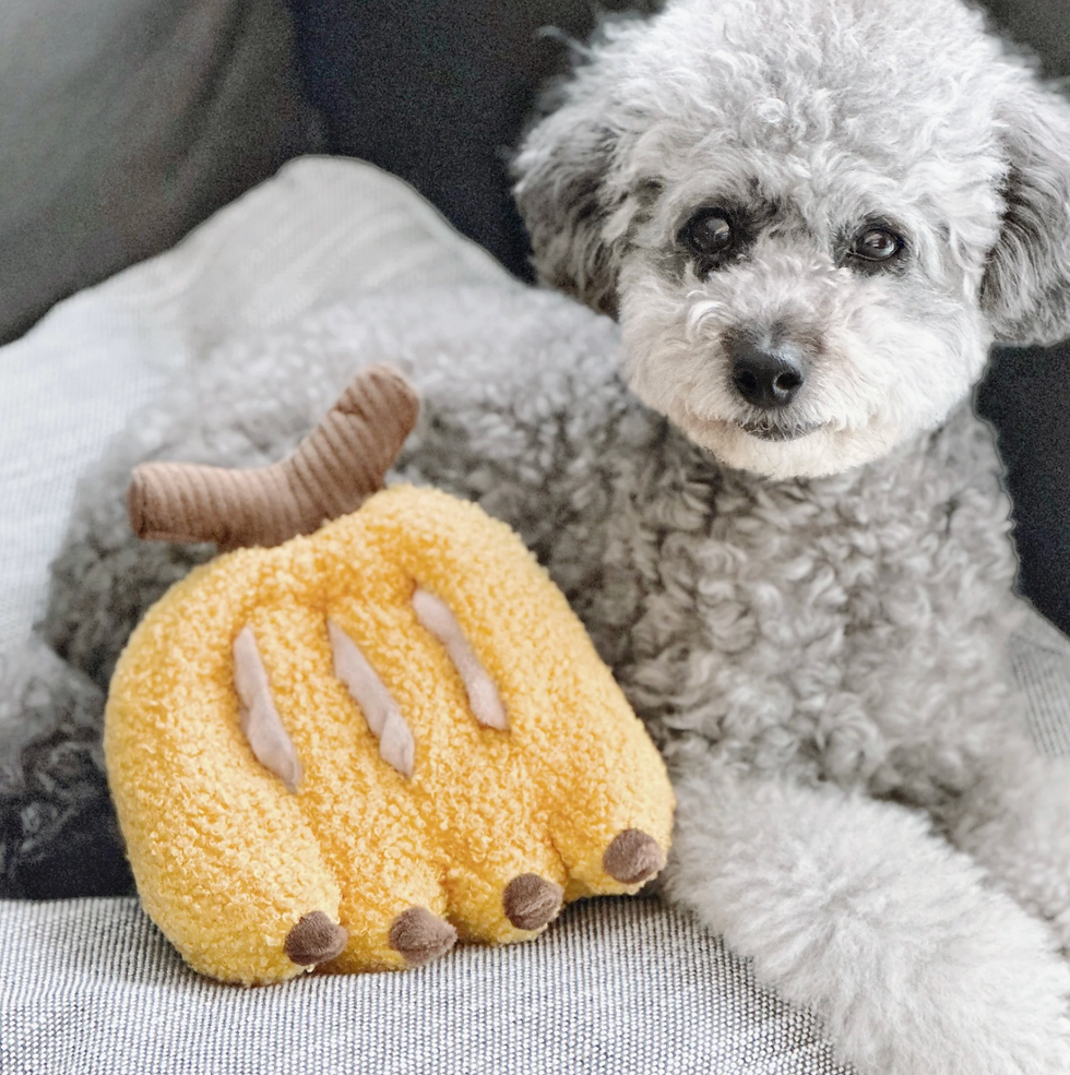 Miniaturbild: Intelligenzspielzeug Hund