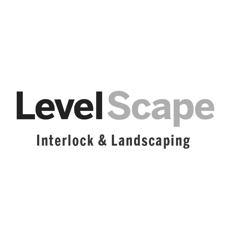 Writer: LevelScape
