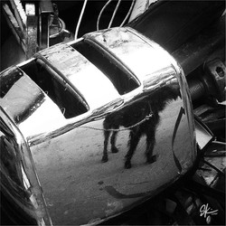 iRubbish image 11.3.15