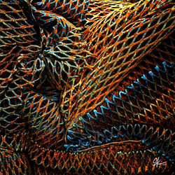 iRubbish image 6.28.16