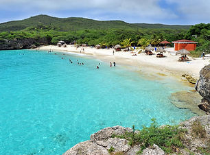 Grote knip.jpg