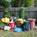 back yard waste and trash