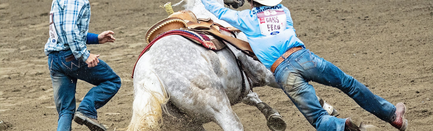 cowboy falling on horse_edited.jpg