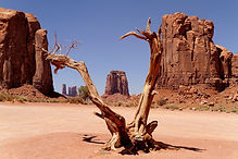 Spot Monument Valley