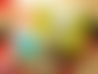 2026年新春福袋のラインナップ（健康全セット）