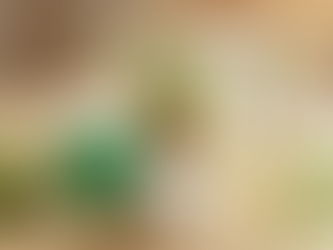 コーモト化粧品スーパーシリーズ（フキトリローション・ローション・エッセンス・クリーム）の集合写真。宮古島のハーブエキスを凝縮した、敏感肌のための濃厚スキンケアラインナップ。