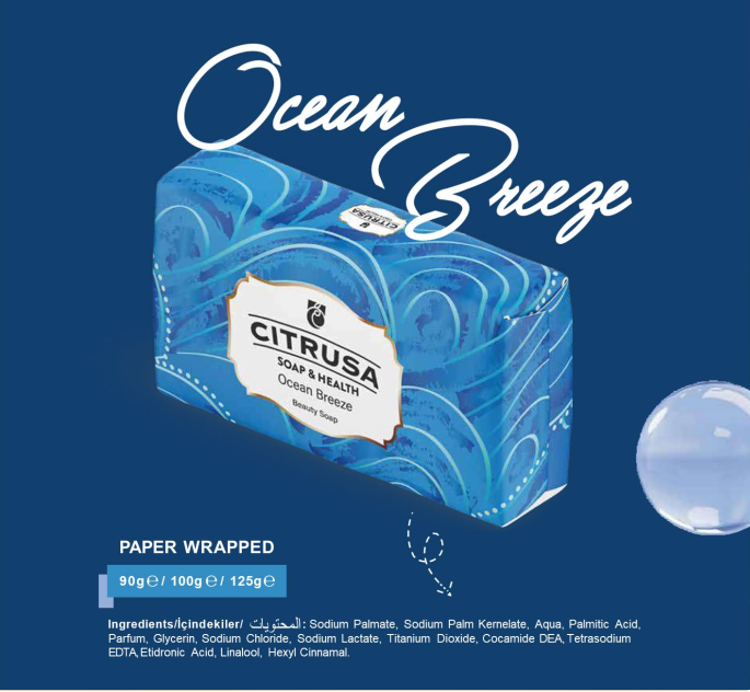 OCEAN BREEZE.png