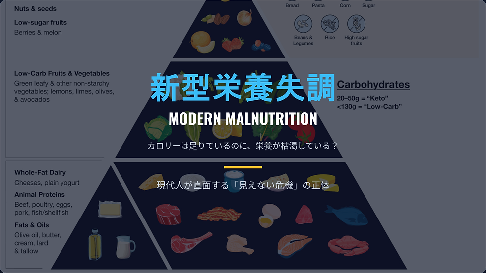 新型栄養失調とは カロリー過多で栄養不足の現代人の食事バランス図