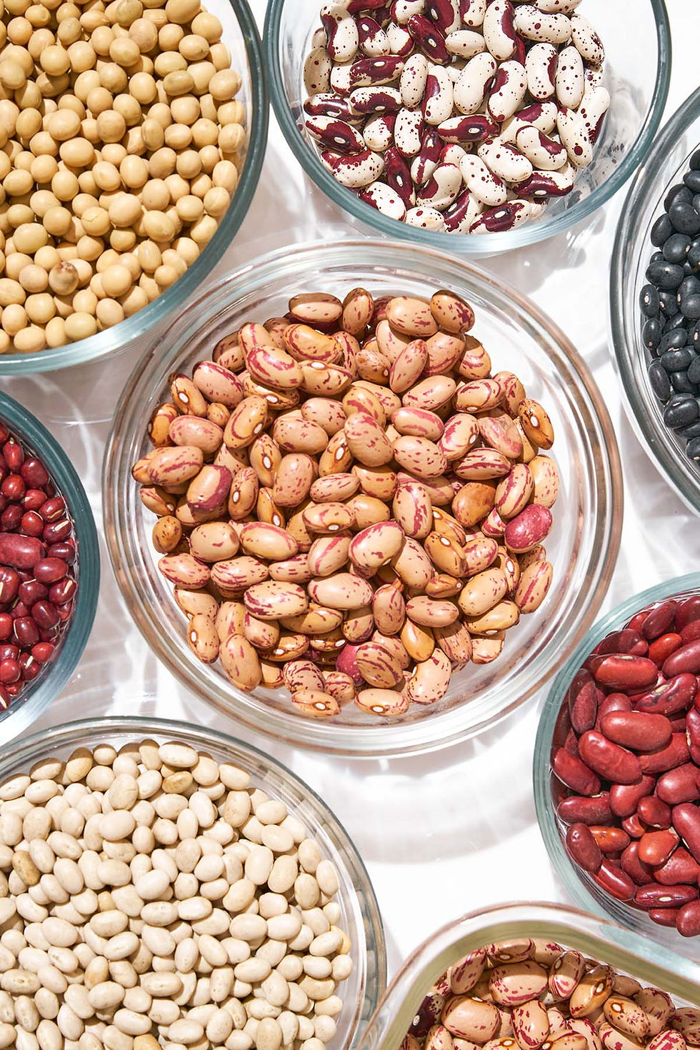bean.jpg