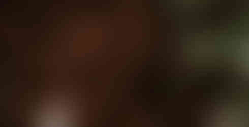 naturkyrkan kolmården, bröllop norrköping, bröllop kolmården, bröllop Östergötland, bröllopsfotograf östergötland, bröllopslokal östergötland, bröllopslokal norrköping