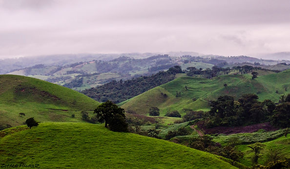 Starting our journey through the Cloud Forest