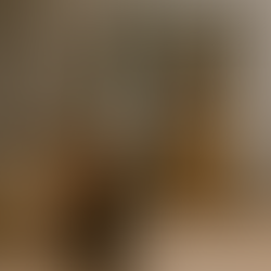 🐾 The Three Scruffy Dogs Through the Cracked Mirror: Why Supply Chain Transformation Often Chases Shadows