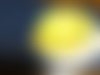 【きらきら光るレモンに〜4月オンライン講座のご報告】