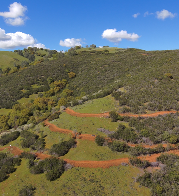 Pic 2 Chap drone still.png