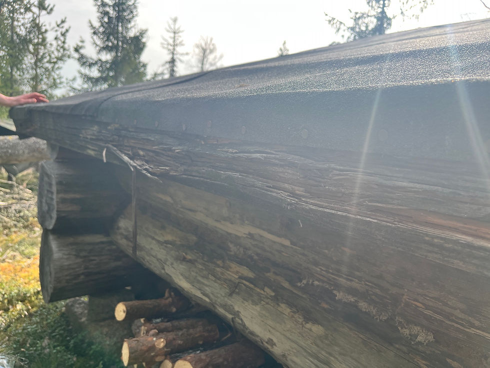 Laavun takaraivolauta(otsalauta kuulemma) todettiin valmiiksi ja sovittiin että tänä suvena hoidetaan homma eli vaihdetaan tämä ja bitumiliimataan katosta pari saumaa samalla. Koordinaattorit Kiusaus, Mahti ja Arpi. Ilmoitellaan Pikatuskana remppakeikka sitten aikanaan.