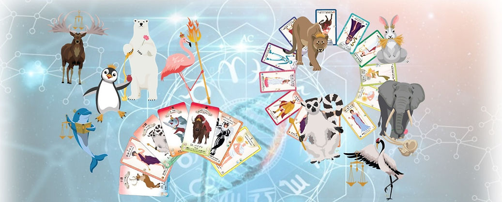cover-11.jpg