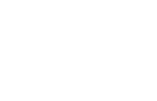 ReRigging-Web.gif