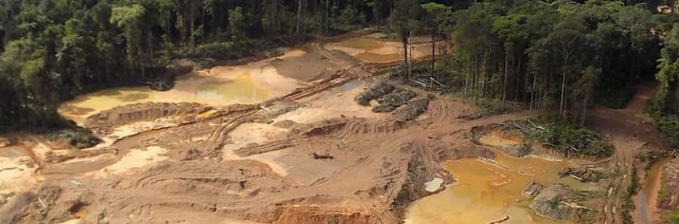 Gold rush - chercher d'or aux USA