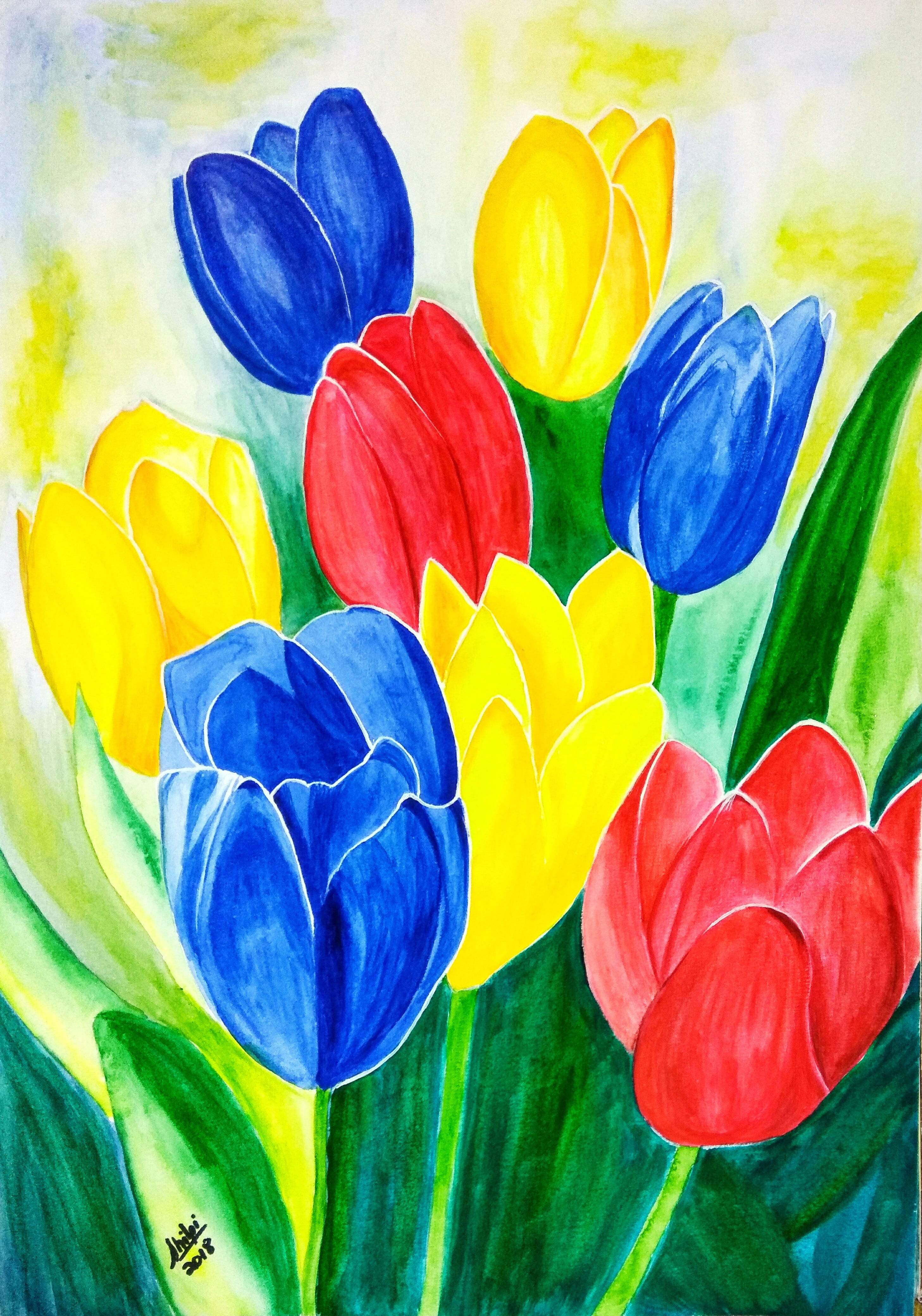 What Colors!