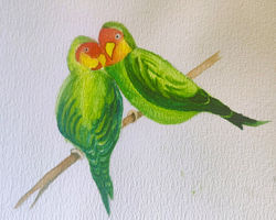 Parrots in Love by Anjana