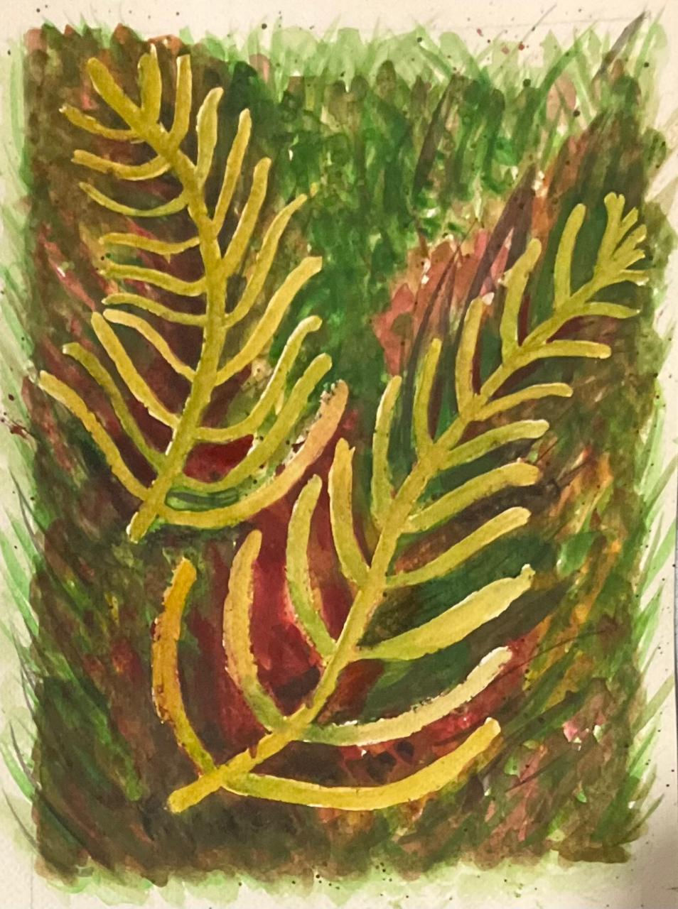 Ferns by Anuradha