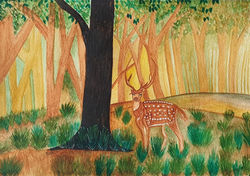 Stag in the Woods by Parinita