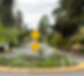 rain garden roundabout as an example of green infrastructure