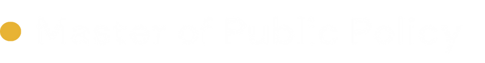 BULLET 3.png