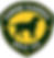 PRIMARY LOGO 300dpi - Ray Cotrufo.png