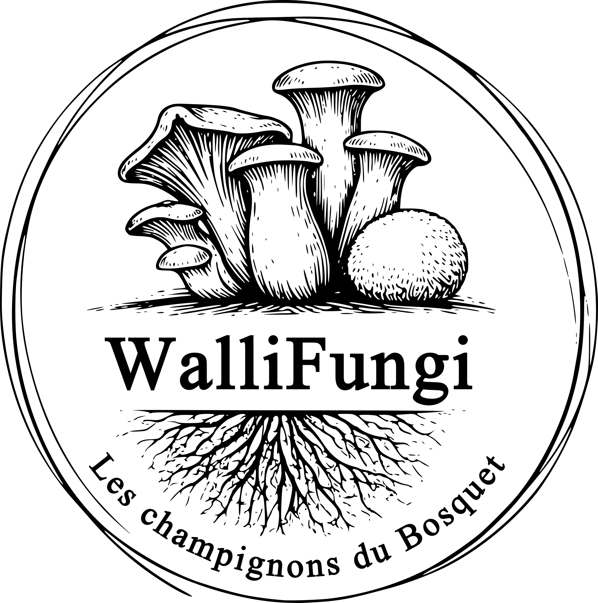 Photo du rédacteur: WalliFungi