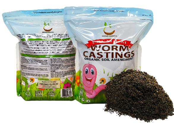 Bag Product_1_edited_edited.png