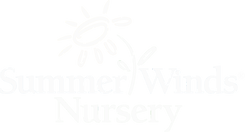 Summer Winds Nursery