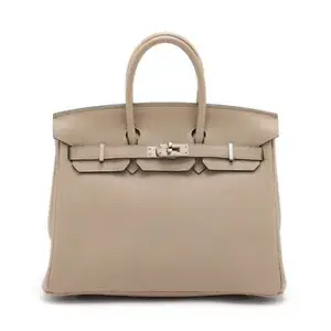 Hermes Birkin 25 Togo Tourtière Gray SilverMetal D:2019