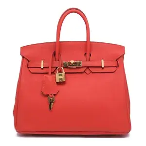 HERMES GHW Birkin 25 Handbag Tote Bag Togo Leather Feu Orange