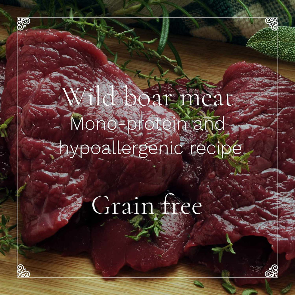 Thumbnail: Ivan IV with boar