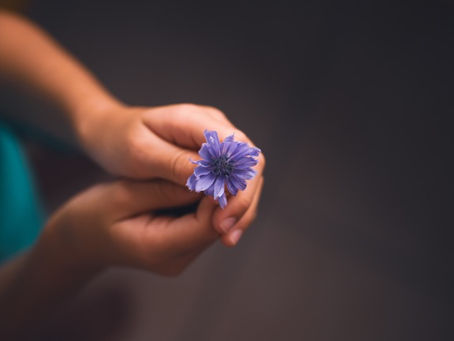 child holding a flower