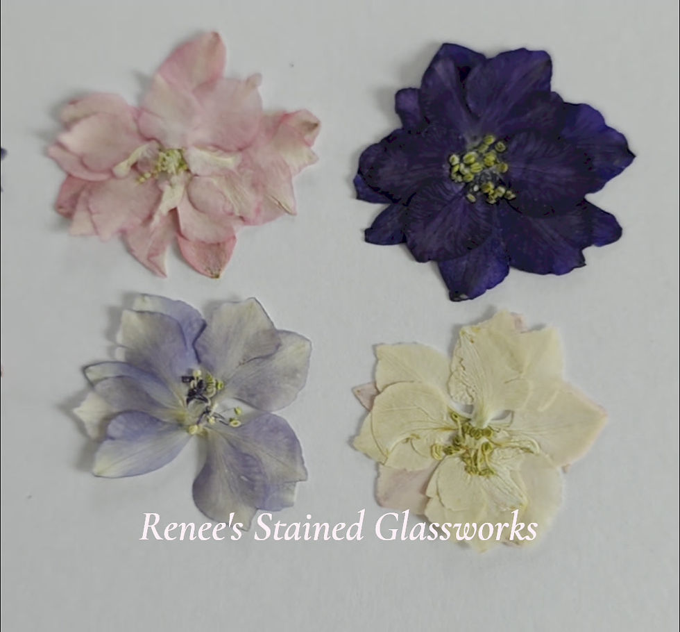 Thumbnail: Assorted Larkspur Flowers