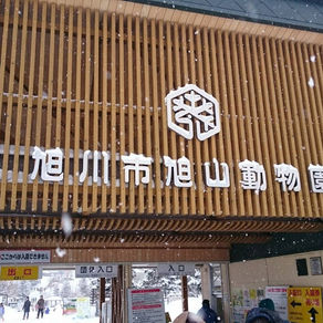 旭川といえば(^^♪ ぺんぎんさん!!