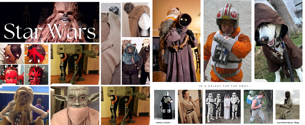 Starwars halloween costume ideas- LviBlog