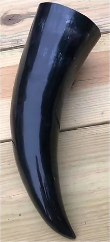 Big Horn 01 - Formatted.webp