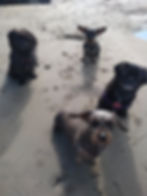 Sandy bums