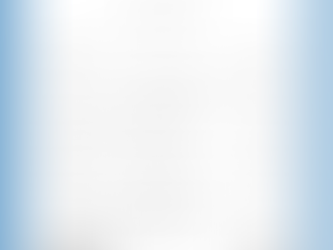 Veterans Day Performance