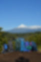 DSC_0809.jpeg