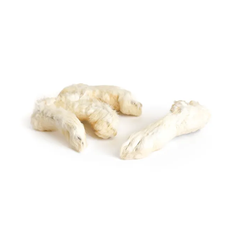 Pattes de lapin poils