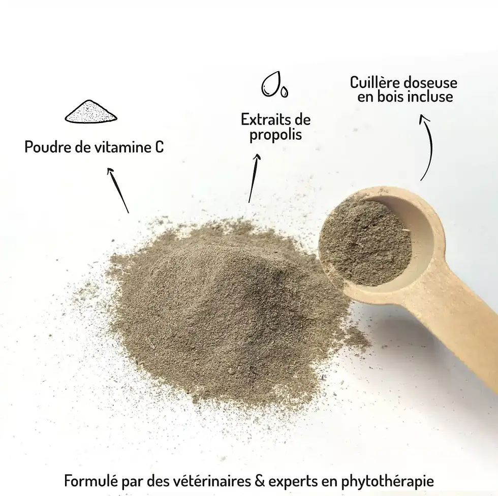 Miniature : Sourire - Anti-tartre et bonne haleine – cure courte – complément alimentaire 