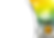 BG-8.png
