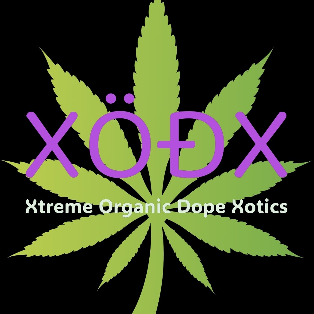 Writer: XÖĐX 