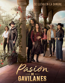 Pasion de Gavilanes