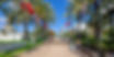 Backed-By-tlv-uni.jpeg